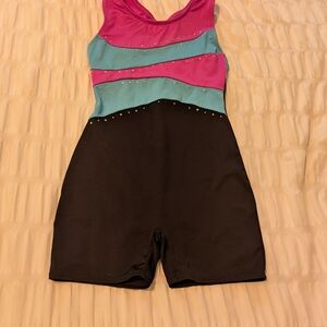 Freestyle Pink and Blue Leotard